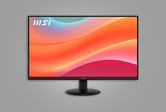 MSI PRO MP242L 100Hz 24"