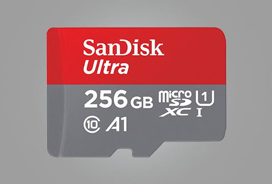 microsd256gb.png